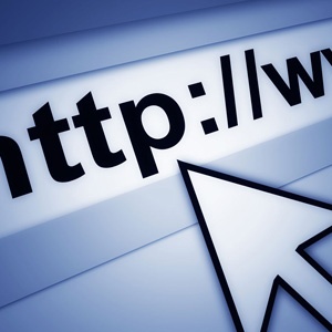 ГЖИ Воронежской области пожаловалась в УФАС на сайты – двойники